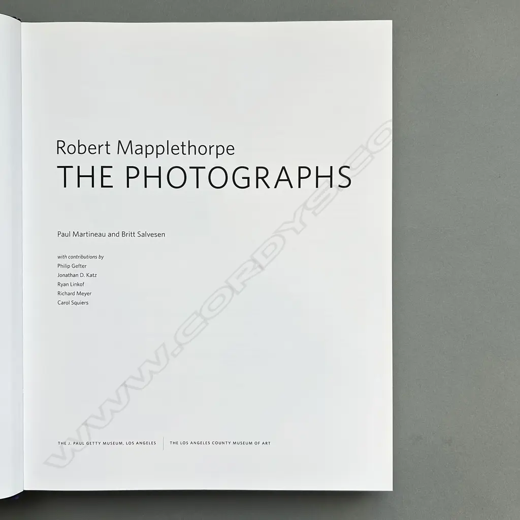 ROBERT MAPPLETHORPE: THE PHOTOGRAPHS Image 1++